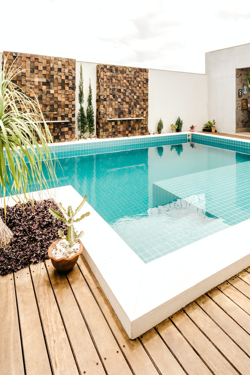 green potted plant beside swimming pool