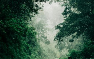 SUPER SOIREE « Atelier voie F » le 19 novembre 2025