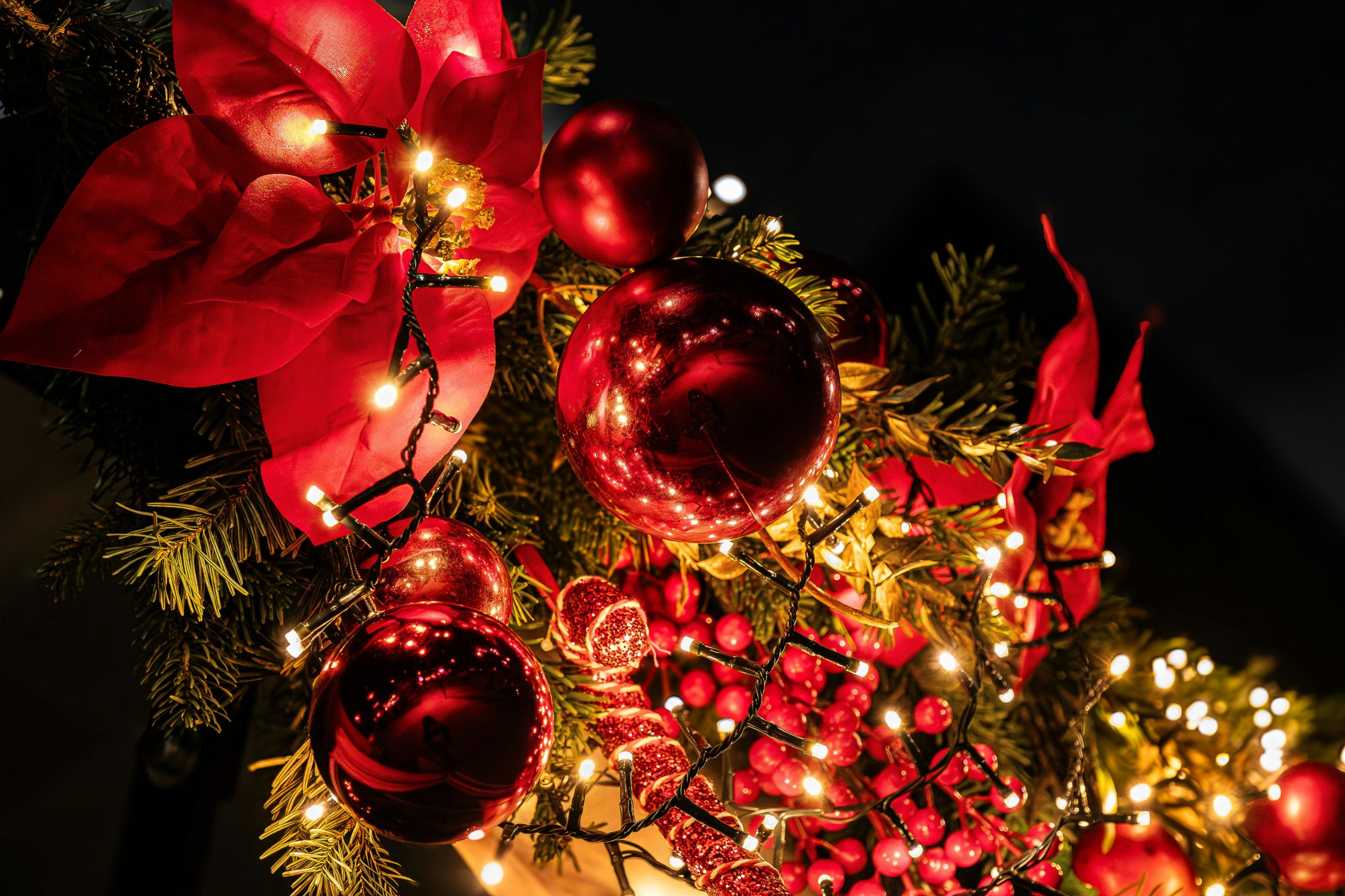 Noël pour les enfants à l&rsquo;AFM